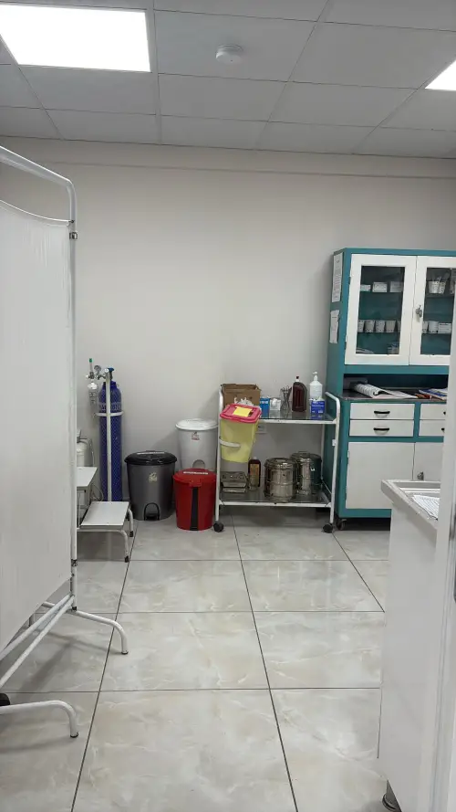 ASM İçinden